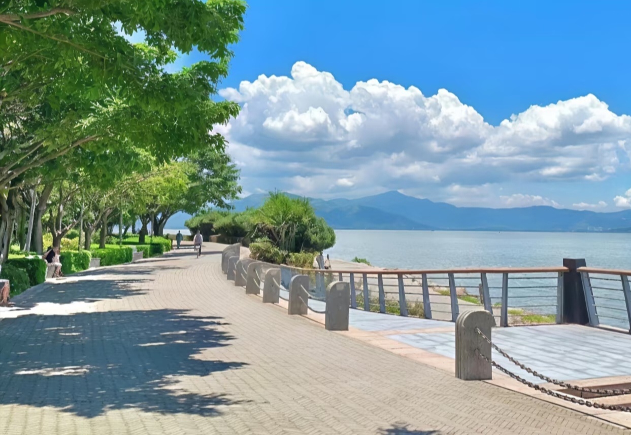 夏季养生配图
